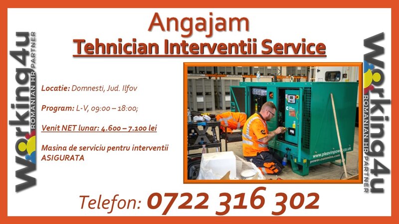 Tehnician Interventii Service